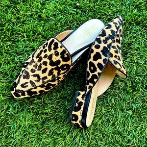 Col Haan mule size 7